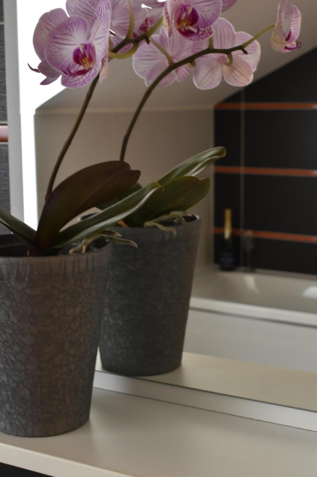 Apartments Verona קרלובי וארי מראה חיצוני תמונה
